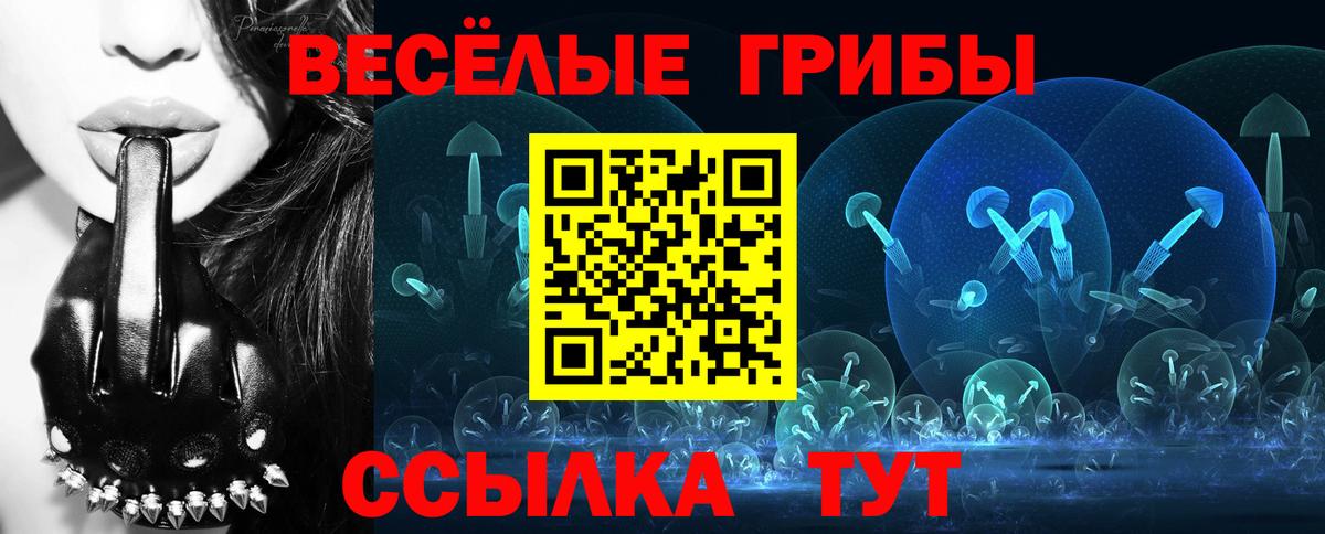 Псилоцибиновые грибы Psilocybe  Вход с VPN  Галлюциногенные грибы MAGIC MUSHROOMS  Туймазы 